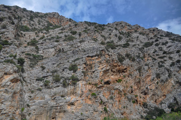 Mountainous area with beautiful views of nature and vegetation, trees and stones