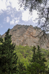 Mountainous area with beautiful views of nature and vegetation, trees and stones