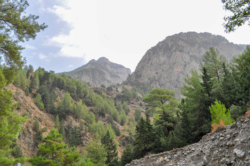 Mountainous area with beautiful views of nature and vegetation, trees and stones