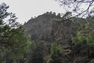 Mountainous area with beautiful views of nature and vegetation, trees and stones