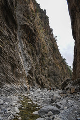 Mountainous area with beautiful views of nature and vegetation, trees and stones