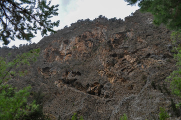 Mountainous area with beautiful views of nature and vegetation, trees and stones