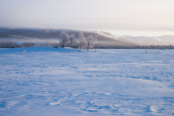 foggy morning over a frozen lake in sweden