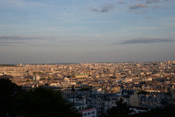Fototapeta na wymiar view of Paris 