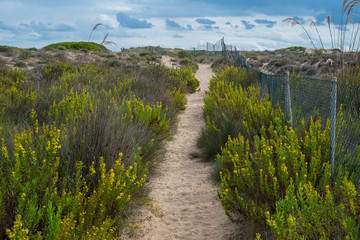beach landscape in valencia,spain
