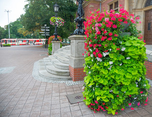 Fototapeta na wymiar Beautiful floral composition on the street