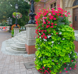 Fototapeta na wymiar Beautiful floral composition on the street