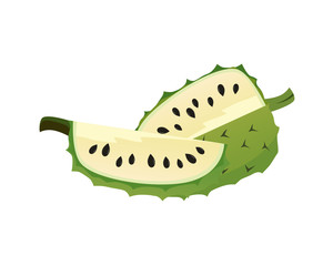 Detailed Soursop and the Slices Illustration