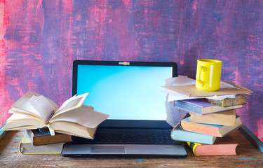 books, laptop, reading, learning, working, education, messy workplace, good copy space