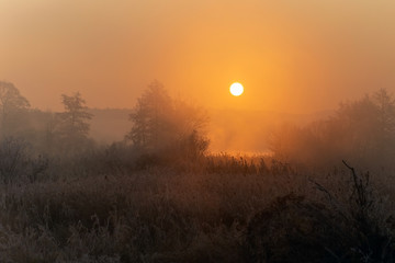 A beautiful sunrise over the misty meadow.