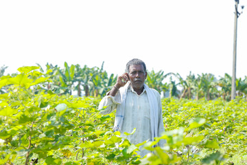 Indian farmer Using mobile phone in cotton farm