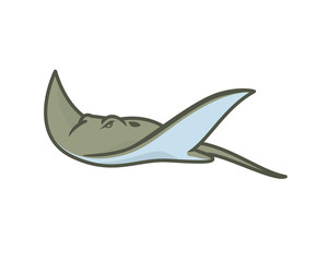 Detailed Swimming Ray Fish or Stingray Illustration