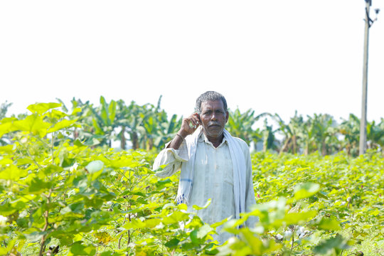 Indian Farmer Using Mobile Phone In Cotton Farm