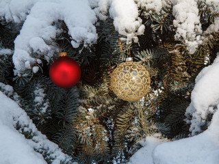 Christmas balls hanging on spruce tree branches covered with snow.