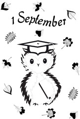 1 september. Owl with a textbook under the wing and square academic cap on its head and autumn leaves. Black and white. Back to school. Vector.