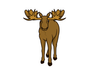 Detailed Moose with Standing Gesture Illustration