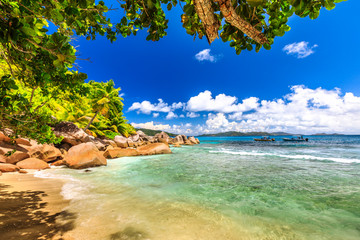 Felicite Island in Indian Ocean, Seychelles close to La Digue. Palm trees, snorkeling paradise, turquoise sea and boulder granite stone on white beach. Tropical nature background. © bennymarty