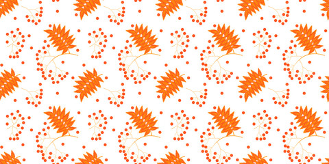 Autumn seamless pattern. Berries, branches and leaves of mountain ash on a white background. Vector.