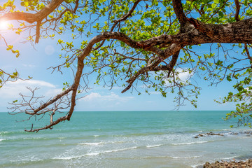 Beautiful landscape summer sea In the morning sunrise or evening sunset. Beautiful beach and tropical sea, Wave of the sea on the sand beach .and tree.