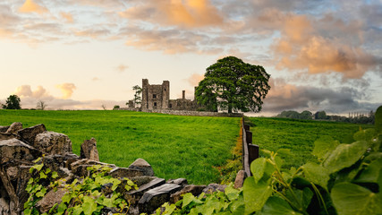 Ruins of old 12th century Bective Abbey, large green tree on side and surrounded by wall and green...