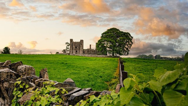 Ruins of old 12th century Bective Abbey, large green tree on side and surrounded by wall and green fields. Dramatic sky sunset. Count Meath, Ireland