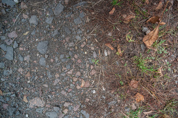 The surface of the old road from broken asphalt with autumn leaves