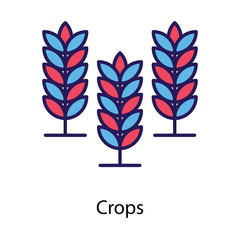  Barley Crop Vector 