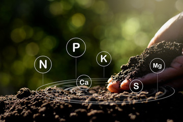 The fertile loamy soil for planting with the iconic technology in soil is the essential food of plants.