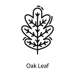  Oak Leaf Vector 