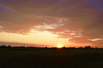 sunset on paddy field in Thailand countryside at evening