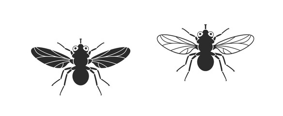 Fly logo. Isolated fly on white background