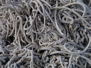 entangled white cords, ropes, on a beach