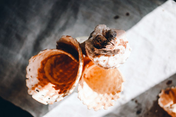 Handmade ice cream cooking. Waffle cone. Organic gelato 