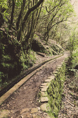 Obraz premium Wanderweg mit Levada