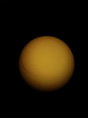 Sole