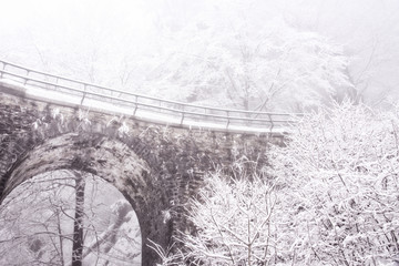 Fototapeta premium Un ponte di inverno ghiacciata con la neve e gli alberi bianchi