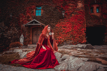 Beautiful girl in a burgundy coat and red dress sitting on the background of the castle in the...