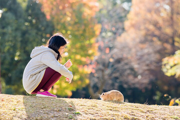 秋の公園にいる可愛い女の子と兎