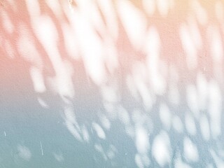 Abstract pastel tree shadow on empty wall background with copy space.