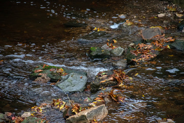 stream water with bubbles, leaves and rocks