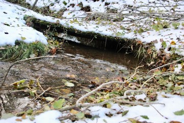 petit pont bois