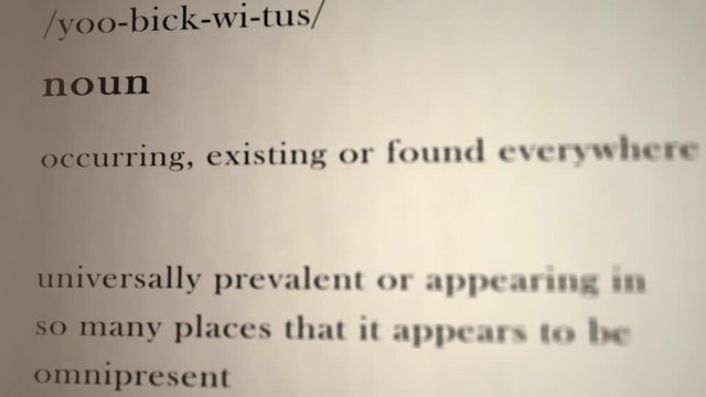 Ubiquitous Definition