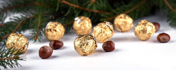 Obraz na płótnie Canvas Chocolates truffles with Christmas tree twig