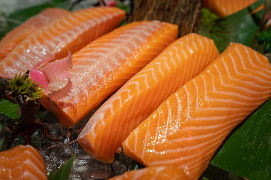 Very fresh raw salmon sashimi sliced are display on table. There are good piece of salmon due to orderly fatty layer in the bright orange meat. Food selective focus photo.