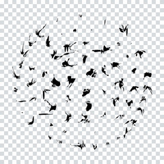 Hand painted ink splashes, grunge art, unique vector brushes isolated on white, birds set