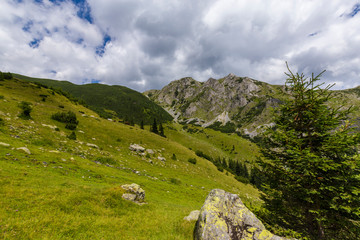 Fototapeta na wymiar Beautiful mountain scenery in Romania, in summer