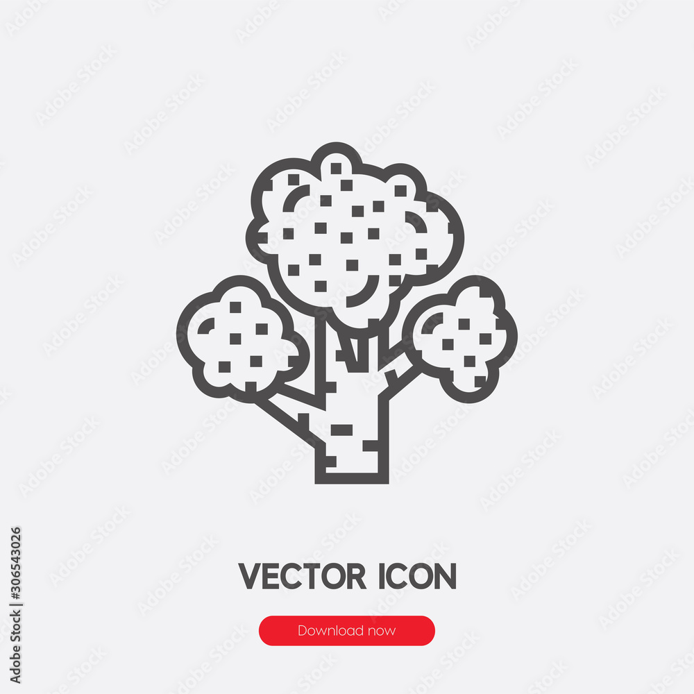 Poster Broccoli icon vector. Linear style sign for mobile concept and web design. Broccoli symbol illustration. Pixel vector graphics - Vector.	