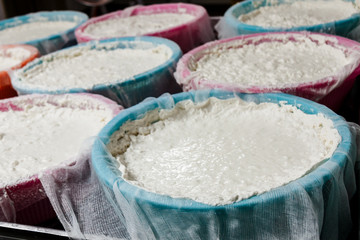 Cuajada de leche  fermentandose para hacer queso de cabra, oveja, vaca. Queso artesanal, Cuajo