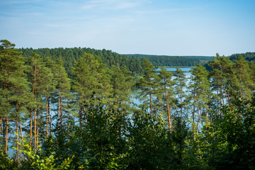 Las drzewa jezioro lato © Dariusz