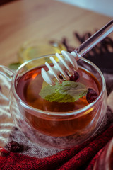 Hand holding silic honey dipper with dipping honey into glass tea cup with dried rosehip and fresh leaves mint on wooden table in color background, herbal tea and healthy drink concept. Close up.